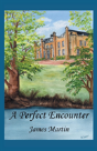 A Perfect Encounter - Preview