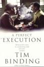 A Perfect Execution - Preview