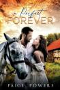 A Perfect Forever - Preview