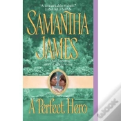 Capa do artigo A Perfect Hero