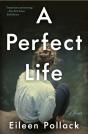 A Perfect Life - Preview