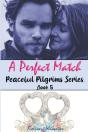 A Perfect Match - Preview