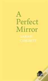 A Perfect Mirror