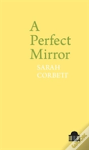 Capa do artigo A Perfect Mirror