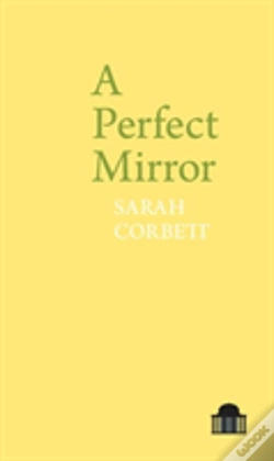 Capa do artigo A Perfect Mirror