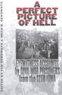 A Perfect Picture Of Hell - Preview
