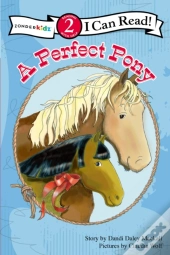 A Perfect Pony