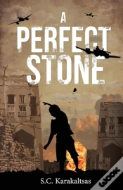 Capa do artigo A Perfect Stone