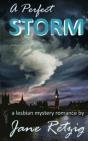 A Perfect Storm - Preview