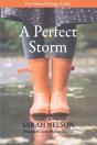 A Perfect Storm - Preview