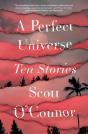 A Perfect Universe - Preview