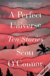 Capa do artigo A Perfect Universe