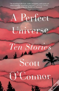 Capa do artigo A Perfect Universe