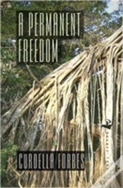 Capa do artigo A Permanent Freedom