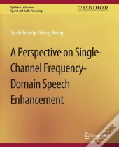 A Perspective On Single-Channel Frequency-Domain Speech Enhancement