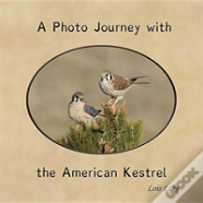A Photo Journey With The American Kestrel