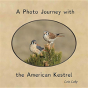 A Photo Journey With The American Kestrel - Preview