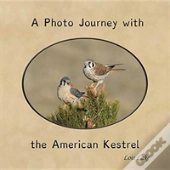 A Photo Journey With The American Kestrel