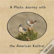 Capa do artigo A Photo Journey With The American Kestrel