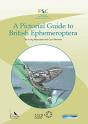 A Pictorial Guide To British Ephemeroptera - Preview