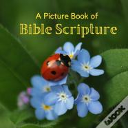 A Picture Book Of Bible Scripture