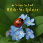 A Picture Book Of Bible Scripture - Preview