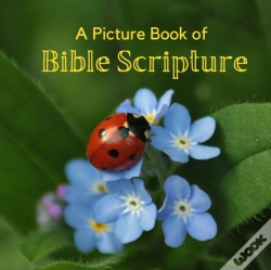 Capa do artigo A Picture Book Of Bible Scripture