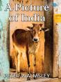 A Picture Of India - Preview