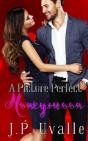 A Picture Perfect Honeymoon - Preview