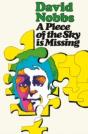 A Piece Of The Sky Is Missing - Preview
