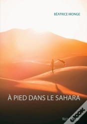 Capa do artigo À Pied Dans Le Sahara
