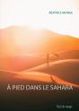 À Pied Dans Le Sahara - Preview