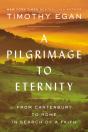 A Pilgrimage To Eternity - Preview