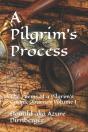 A Pilgrim'S Process - Preview