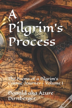 Capa do artigo A Pilgrim'S Process