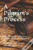 A Pilgrim'S Process
