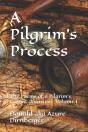 A Pilgrim'S Process - Preview