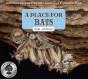 A Place For Bats (Third Edition) - Preview