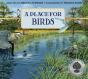 A Place For Birds - Preview
