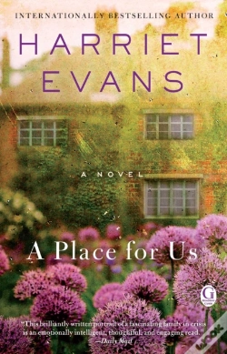 Capa do artigo A Place For Us