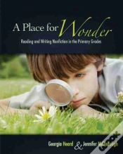 Capa do artigo A Place For Wonder