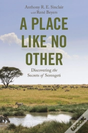 Capa do artigo A Place Like No Other