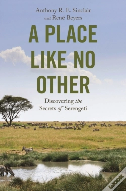 Capa do artigo A Place Like No Other
