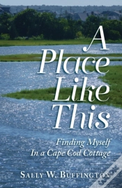 Capa do artigo A Place Like This