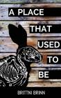 A Place That Used To Be - Preview