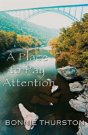 A Place To Pay Attention - Preview