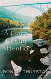 A Place To Pay Attention