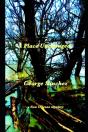A Place Unchanged - Preview