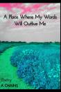 A Place Where My Words Will Outlive Me - Preview