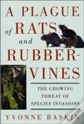 A Plague Of Rats And Rubbervines